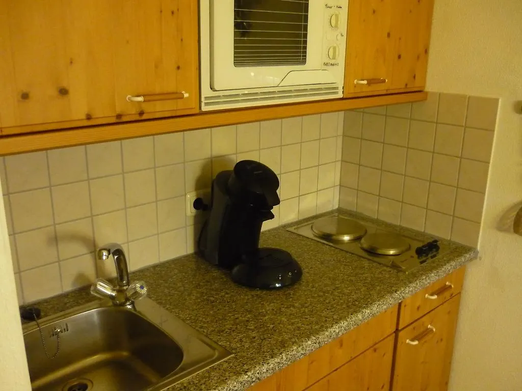 Apartment Ferienwohnung Silberberg - Piatka Bodenmais Germany